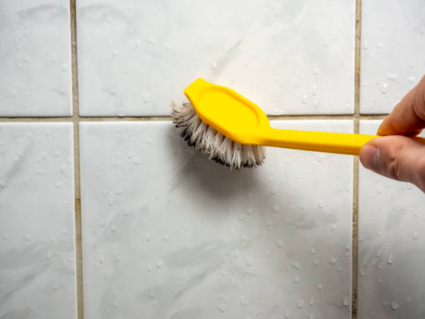 Mold Removal and Inspection in Costa Mesa, CA