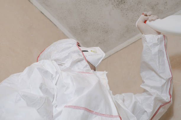 Best Mold Removal Company Near Me  in Costa Mesa, CA
