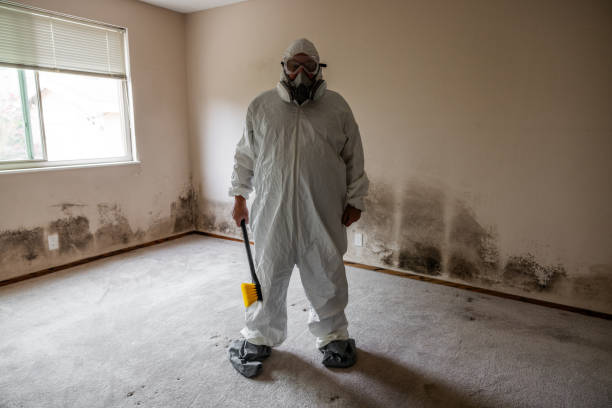 Best Residential Mold Removal  in Costa Mesa, CA